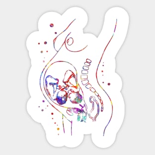 Pregnancy Sticker